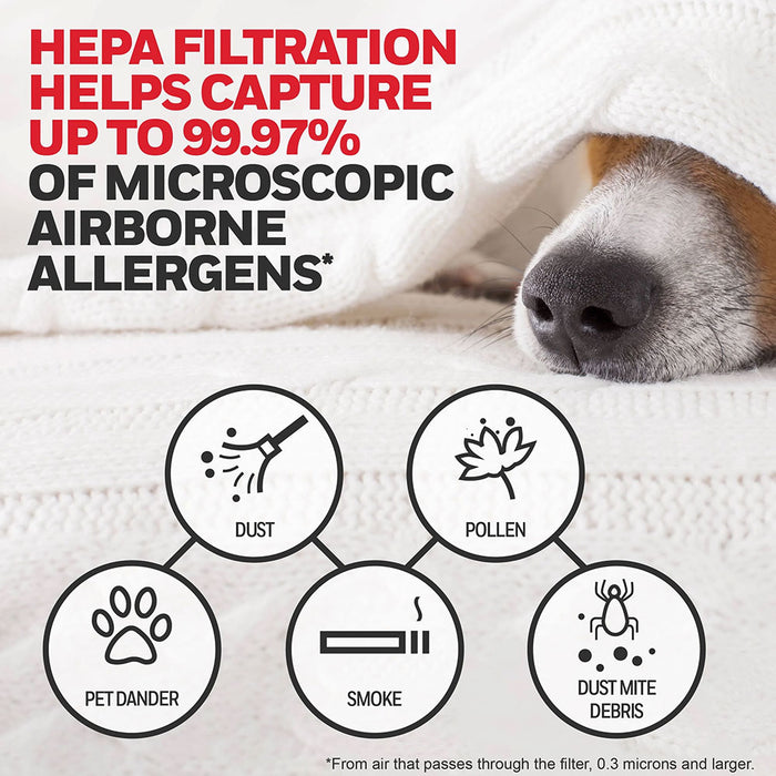 Filtre HEPA type G, Honeywell HRF-G2 (paquet de 2)