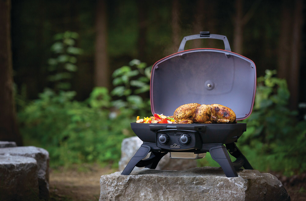 BBQ portatif, rouge, Napoléon TravelQ 285